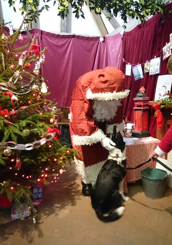 Everyone wants to meet Santa.